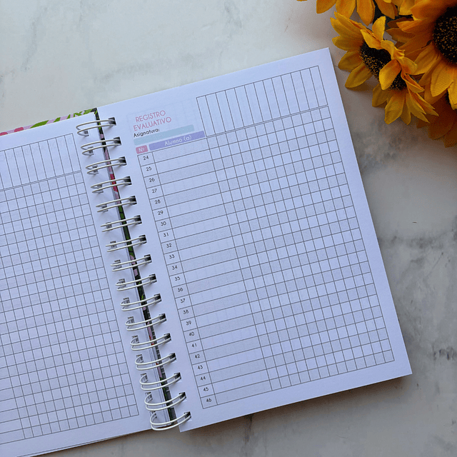 PLANNER EDUCADORA PÁRVULO