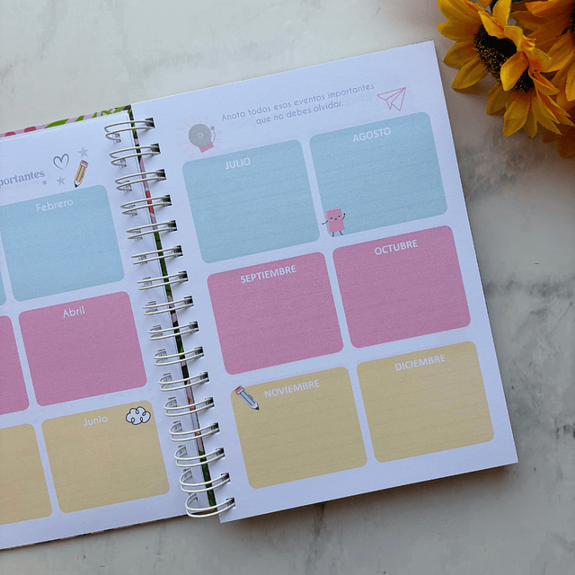 PLANNER EDUCADORA PÁRVULO