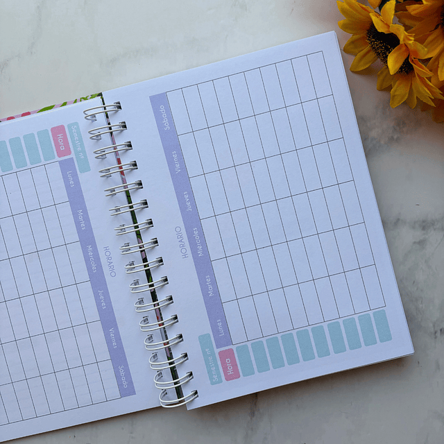 PLANNER EDUCADORA PÁRVULO