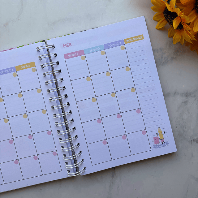 PLANNER EDUCADORA PÁRVULO