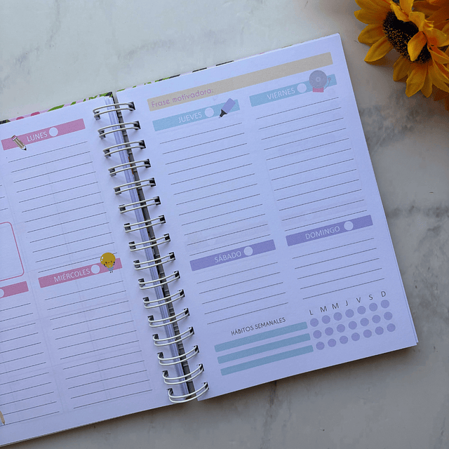 PLANNER EDUCADORA PÁRVULO