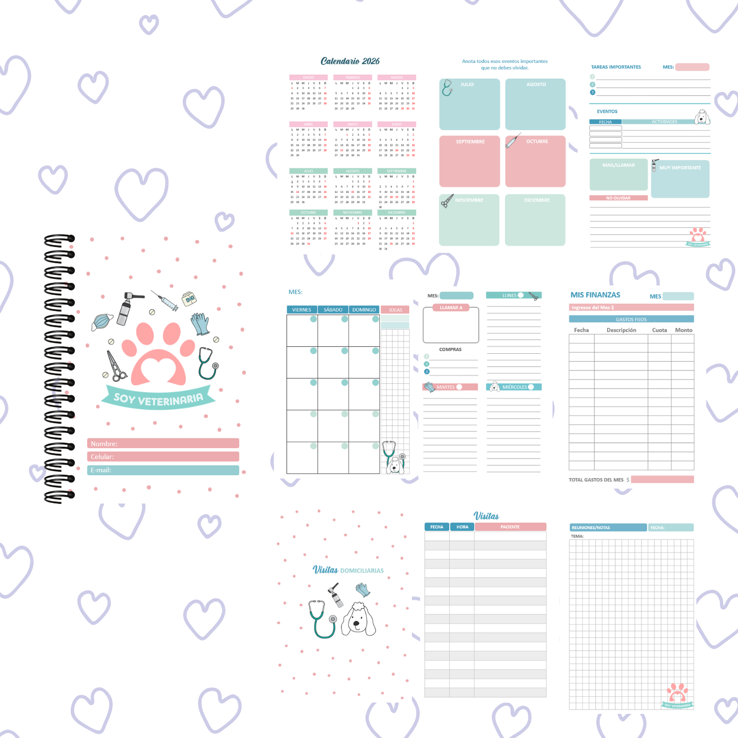 PLANNER VETERINARIA