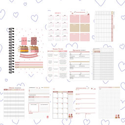 PLANNER PSICOPEDAGOGA