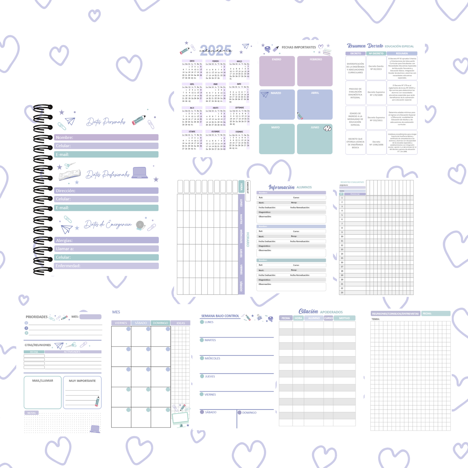 Agenda Profesora / educadora diferencial