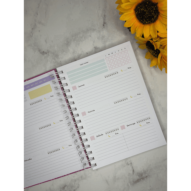 PLANNER PASTEL 