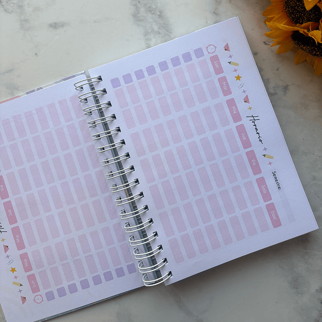 PLANNER UNIVERSITARIO PASTEL