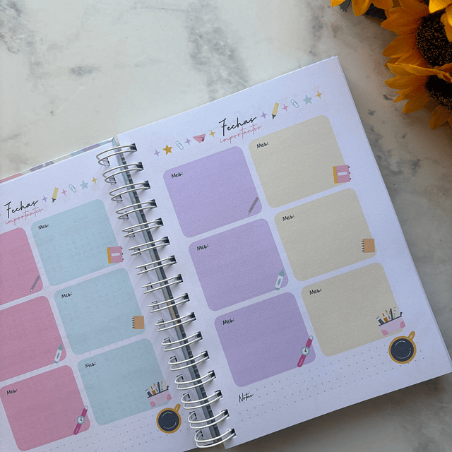 PLANNER UNIVERSITARIO PASTEL
