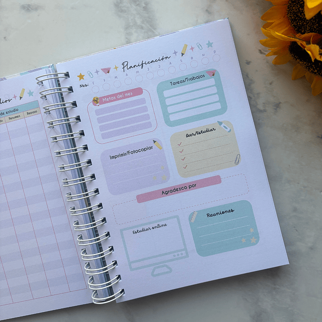 PLANNER UNIVERSITARIO PASTEL