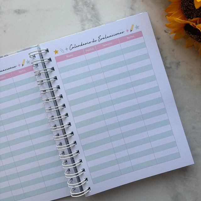 PLANNER UNIVERSITARIO PASTEL