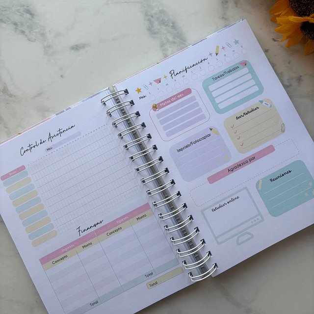 PLANNER UNIVERSITARIO PASTEL