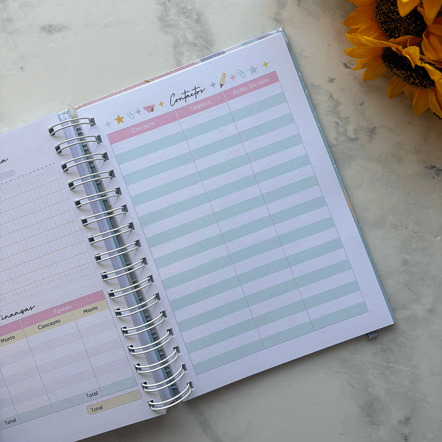 PLANNER UNIVERSITARIO PASTEL