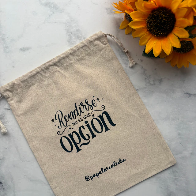 BOLSA DE CREA