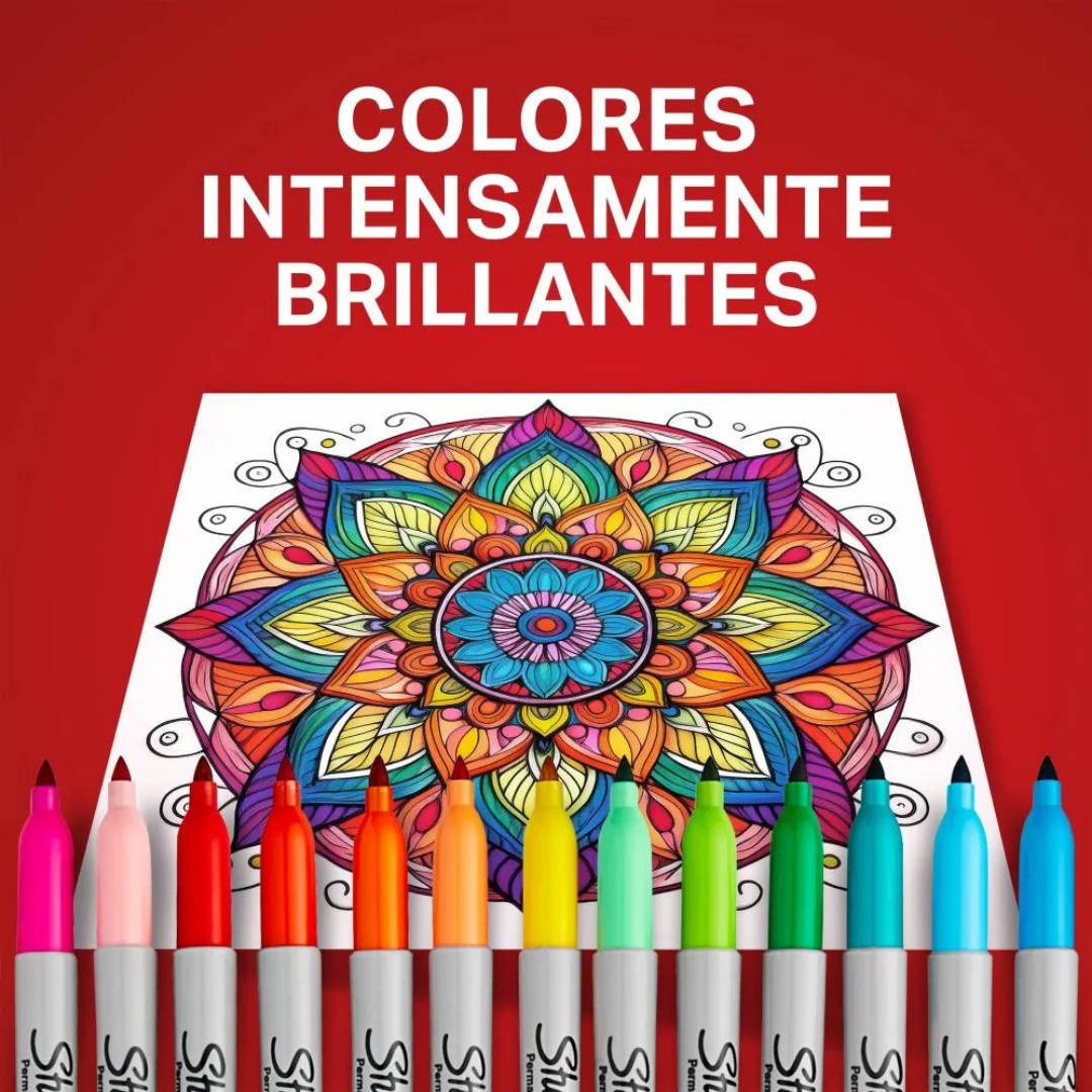 Marcadores Permanentes – Set 24 Colores – Punta Fina