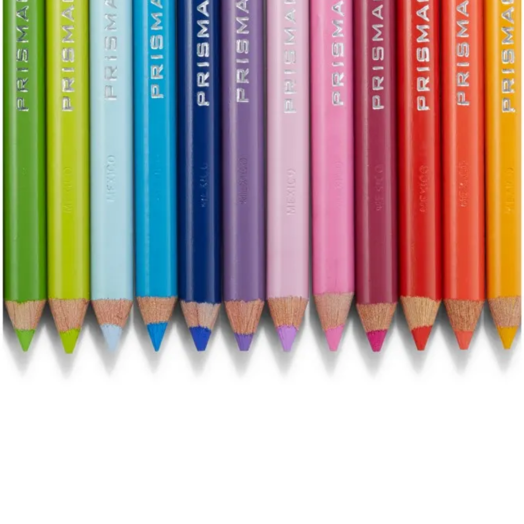 Lápices de Colores – Set 24 Colores – Intensos