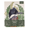 Block para Colorear – Aves y Flora Chilena x Fran Méndez