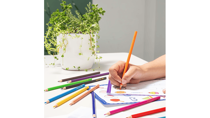 Set de Lápices 12 Colores  5