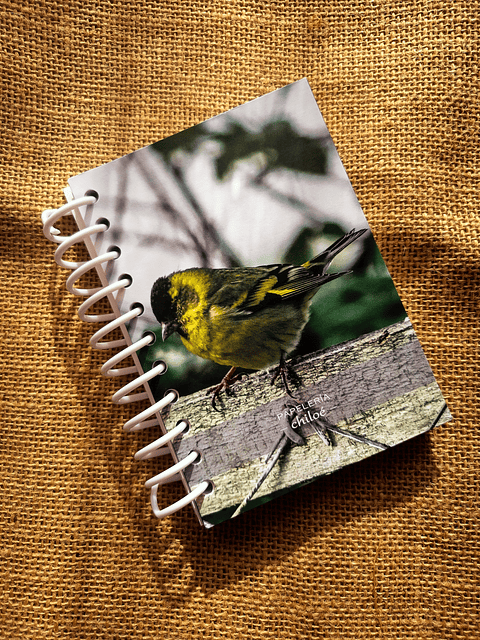 Cuadernos A6 tapa dúplex