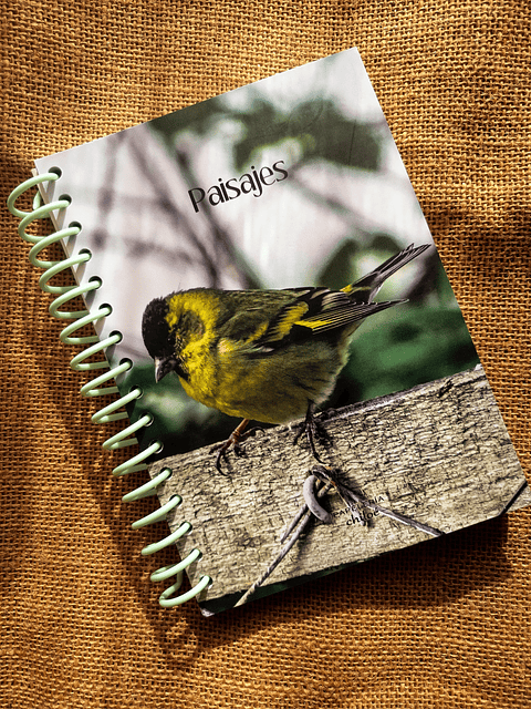 Cuadernos A5 tapa dúplex