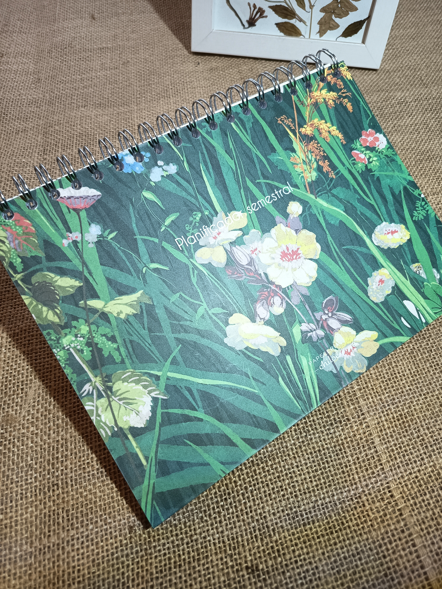 Planificador semestral 3