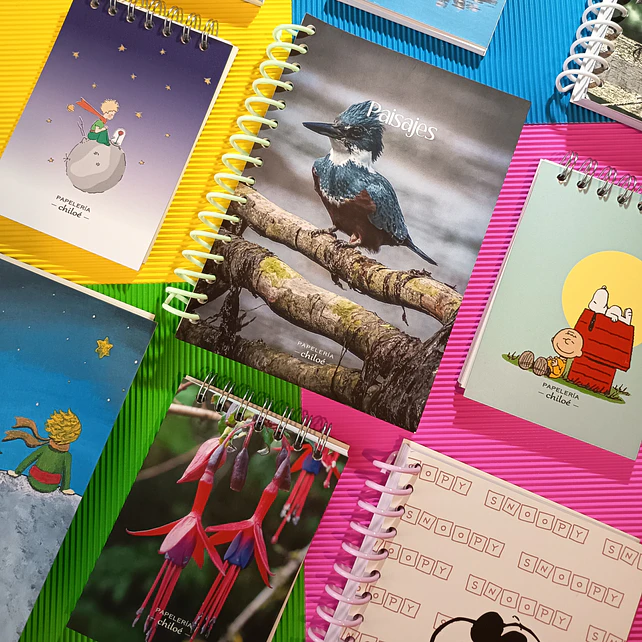 Cuadernos y Libretas