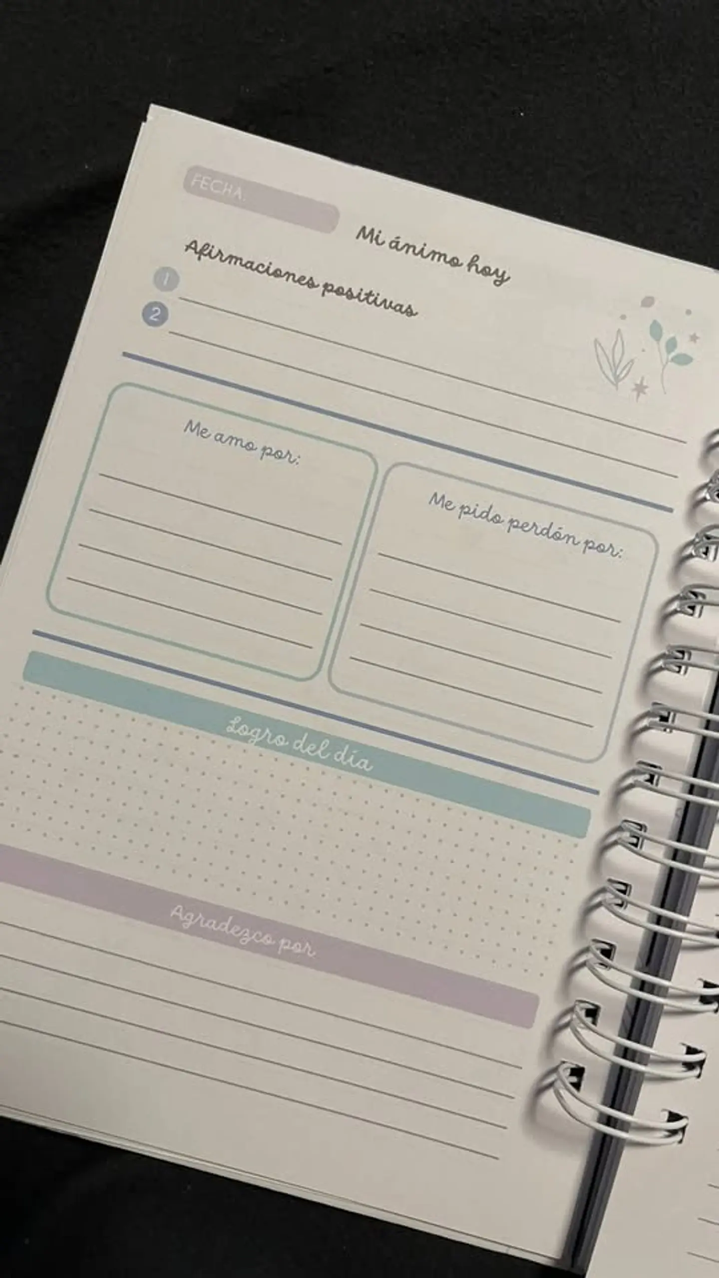 Diario de Bienestar 6