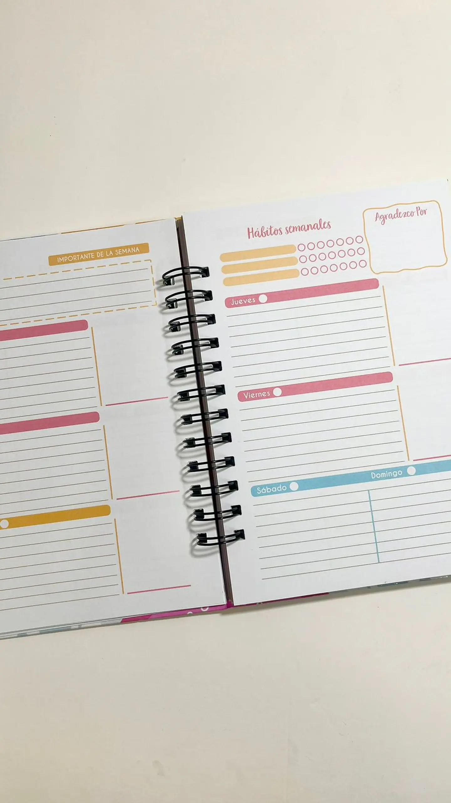 Planner Confía en tu proceso 4