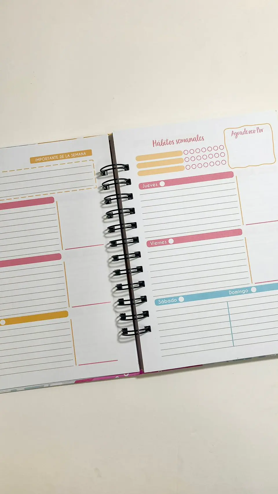Planner Confía en tu proceso 4