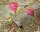 374661 (64 CM) - ASIAN FUSION - thumbnail 4