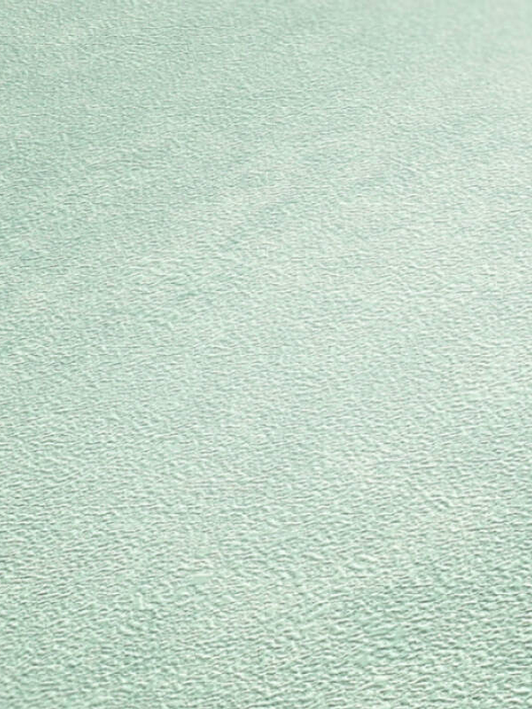 374671 (0 CM) - ASIAN FUSION 2