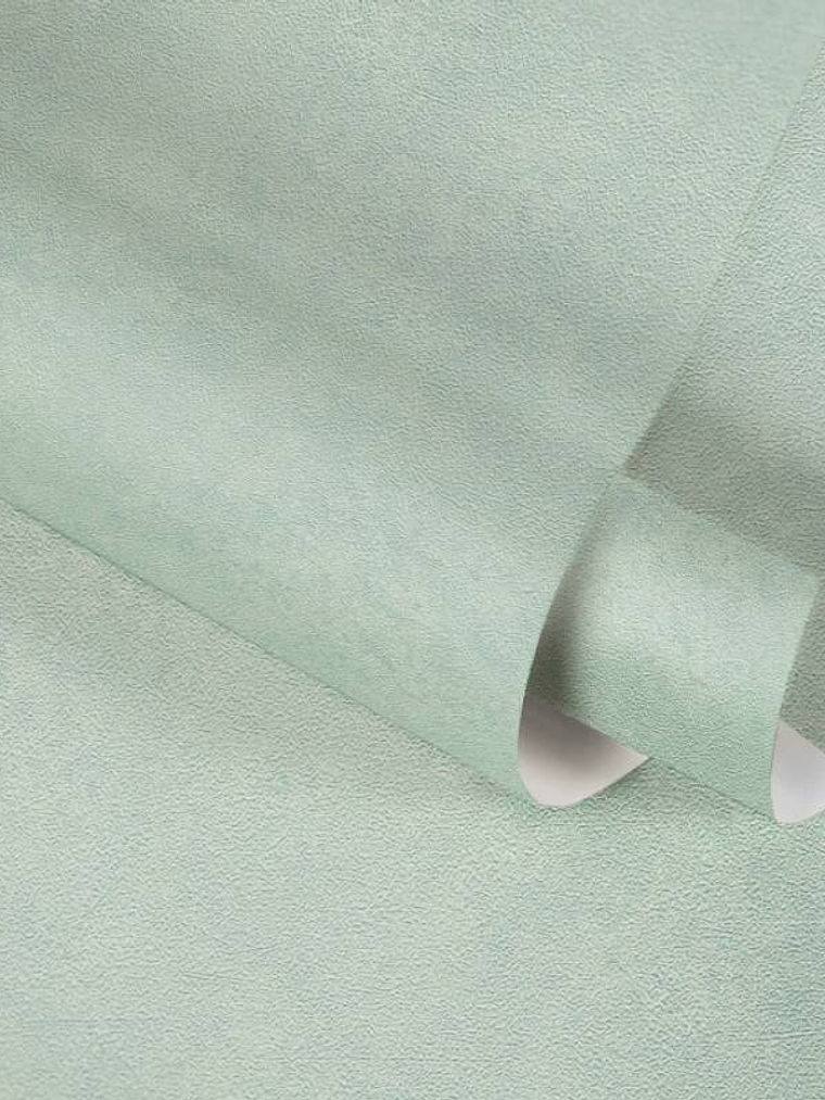 374671 (0 CM) - ASIAN FUSION 4