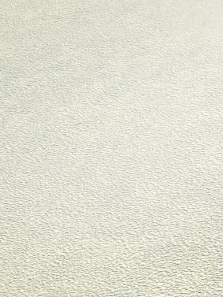 374672 (0 CM) - ASIAN FUSION 2