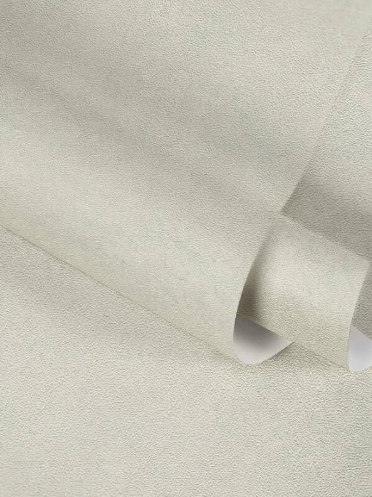 374672 (0 CM) - ASIAN FUSION 4