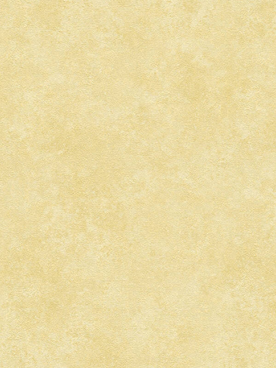 374673 (0 CM) - ASIAN FUSION 1