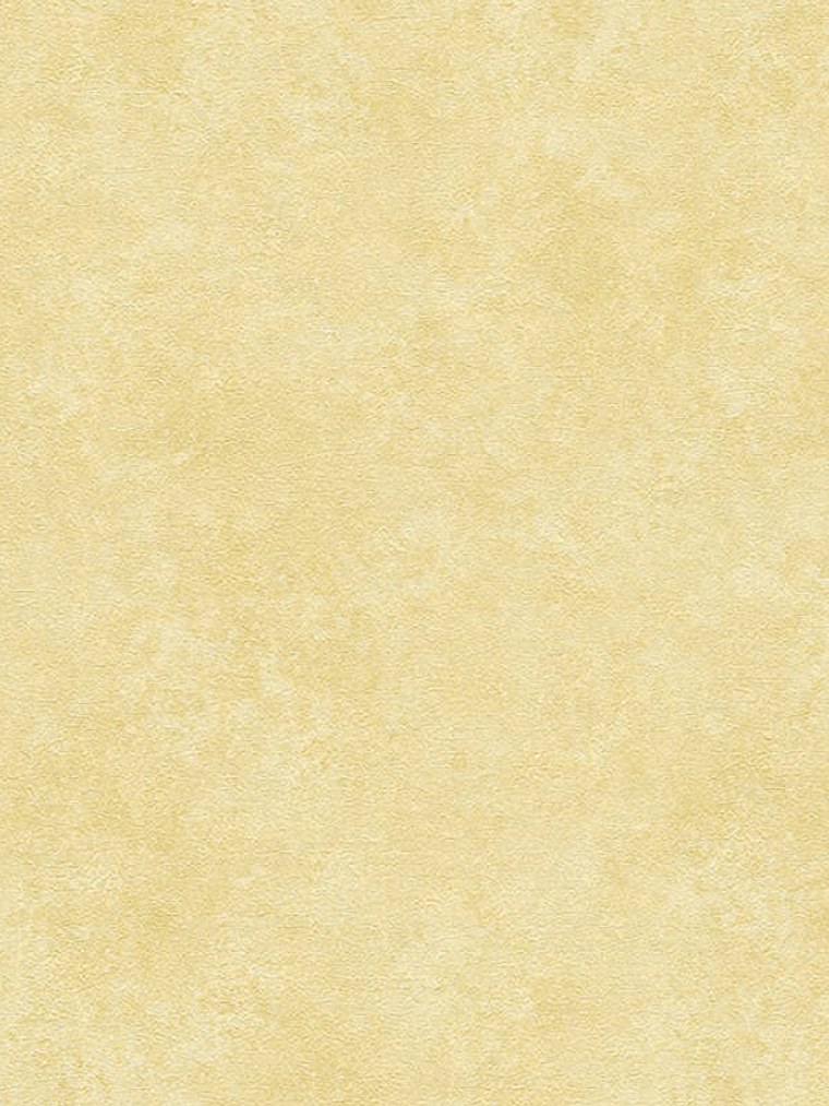 374673 (0 CM) - ASIAN FUSION 1