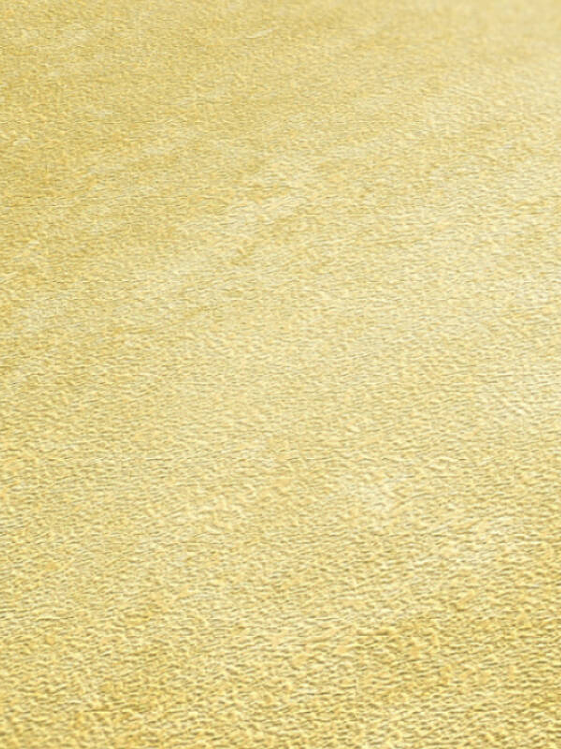 374673 (0 CM) - ASIAN FUSION 2