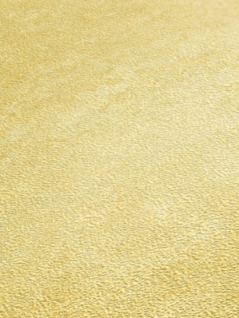 374673 (0 CM) - ASIAN FUSION 2