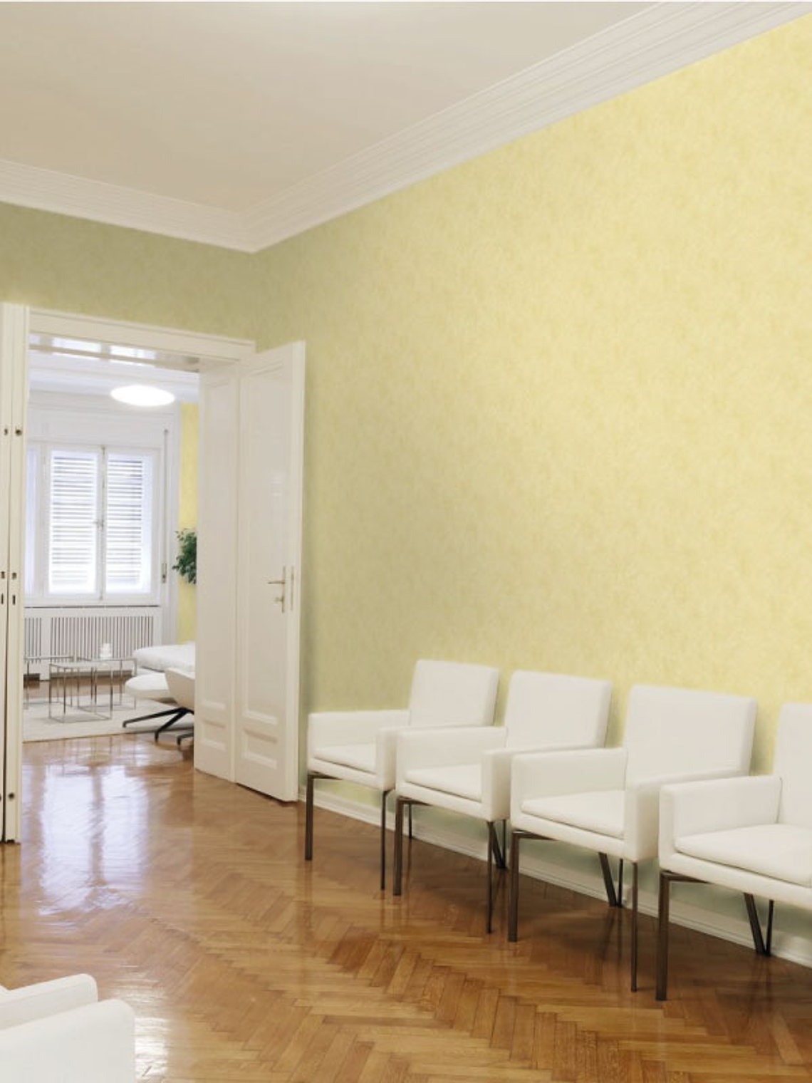 374673 (0 CM) - ASIAN FUSION 3