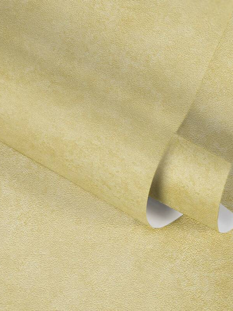 374673 (0 CM) - ASIAN FUSION 4