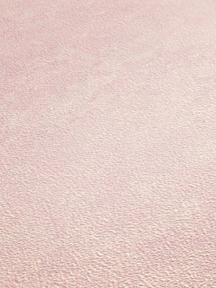 374674 (0 CM) - ASIAN FUSION 2