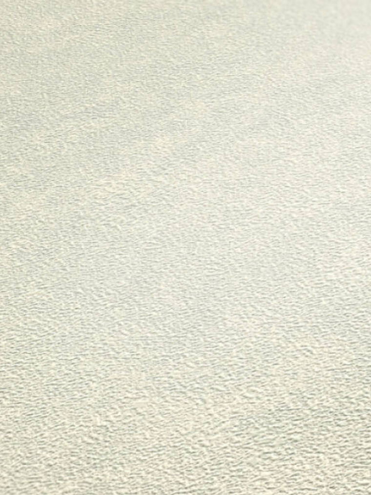 374675 (0 CM) - ASIAN FUSION 2