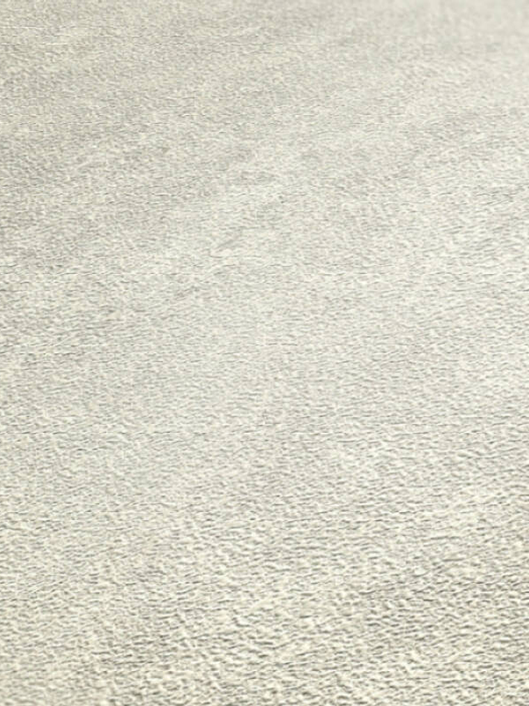 374676 (0 CM) - ASIAN FUSION 2