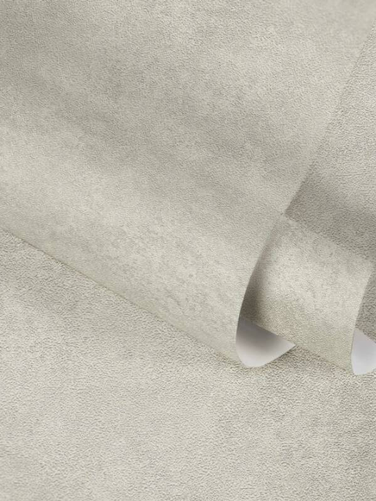 374676 (0 CM) - ASIAN FUSION 4