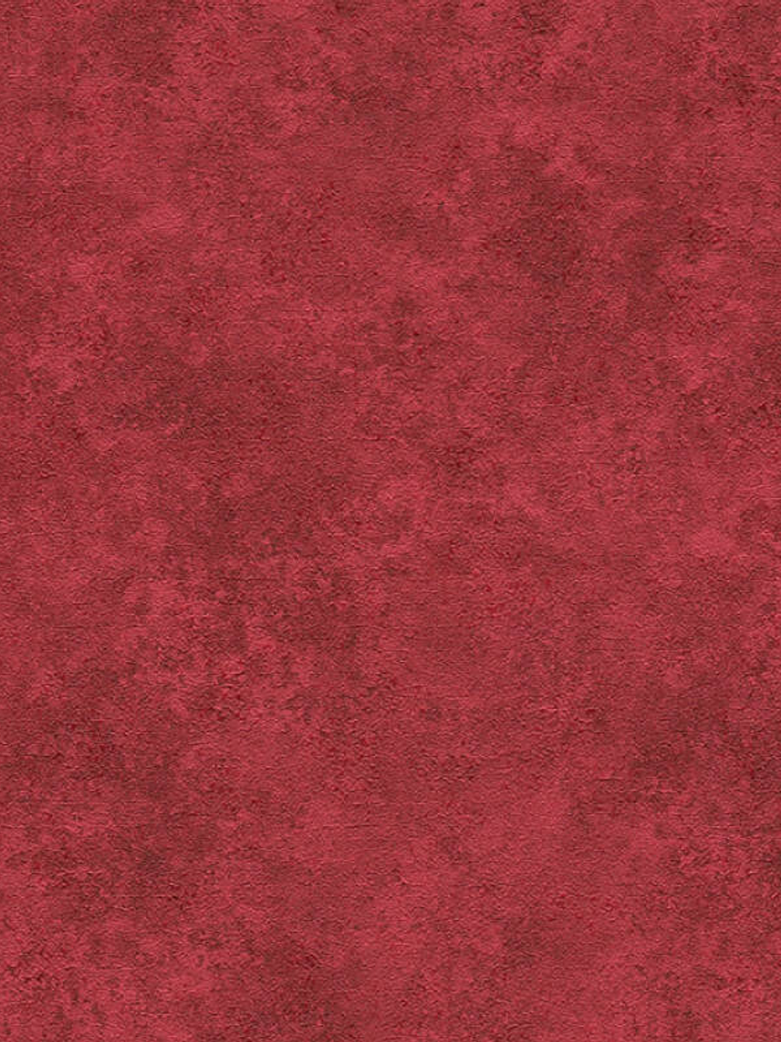 374678 (0 CM) - ASIAN FUSION 1