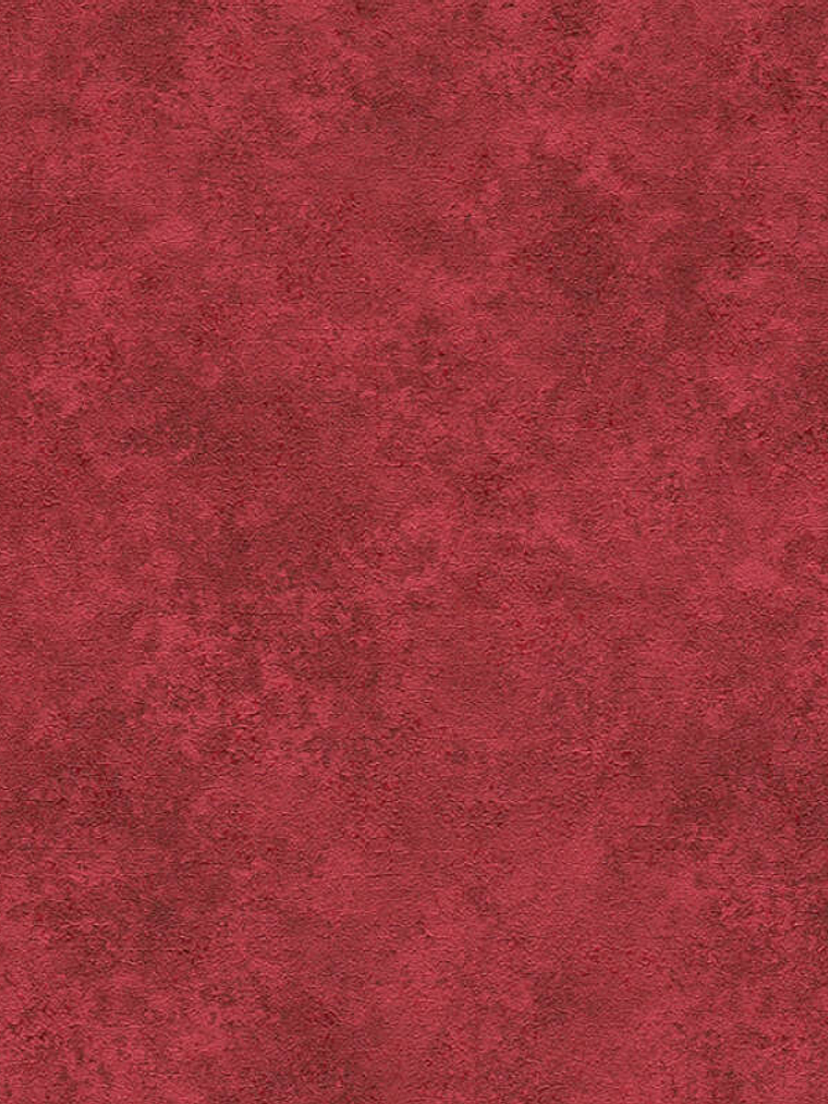 374678 (0 CM) - ASIAN FUSION 1