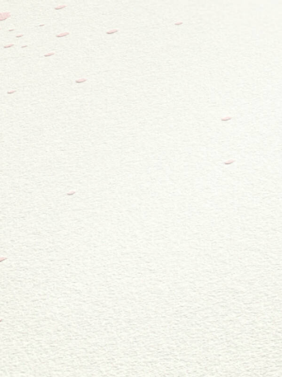 374691 (64 CM) - ASIAN FUSION 2