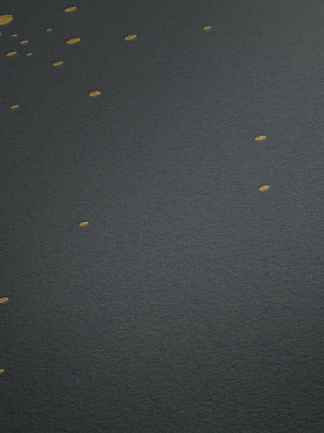 374693 (64 CM) - ASIAN FUSION 2