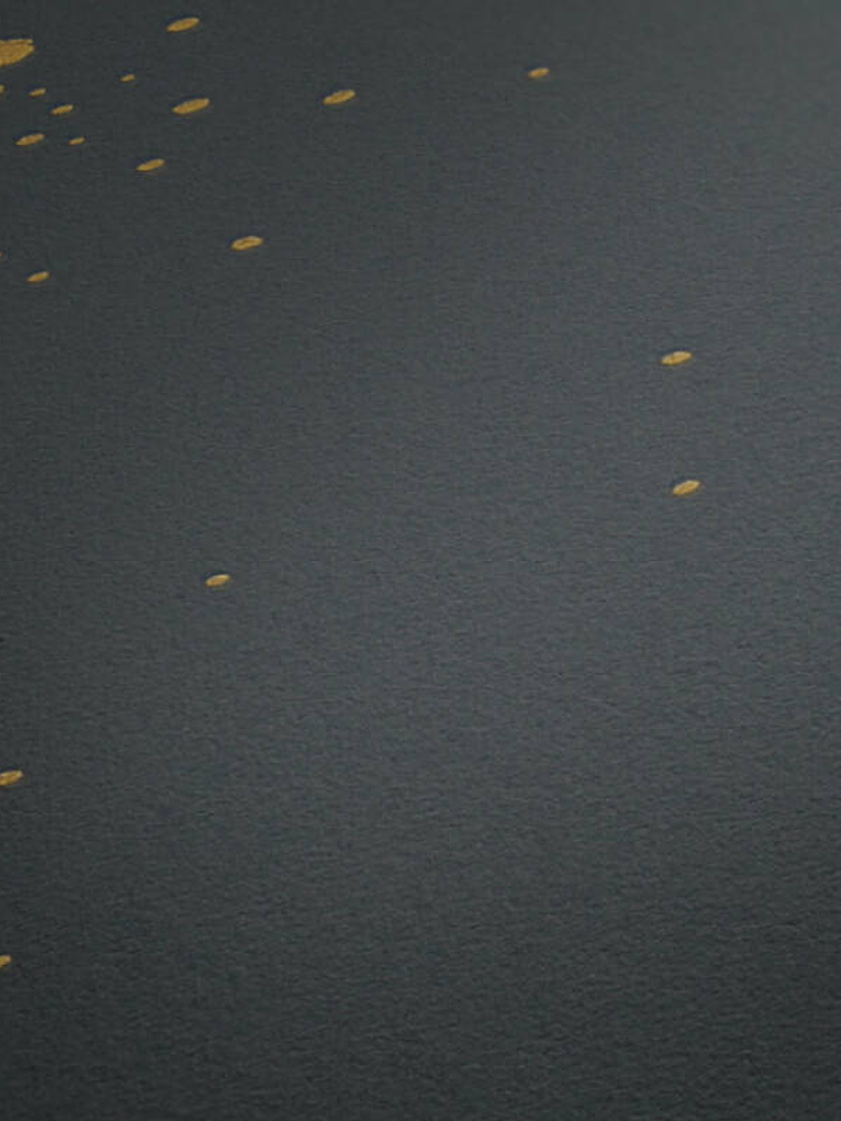 374693 (64 CM) - ASIAN FUSION 2