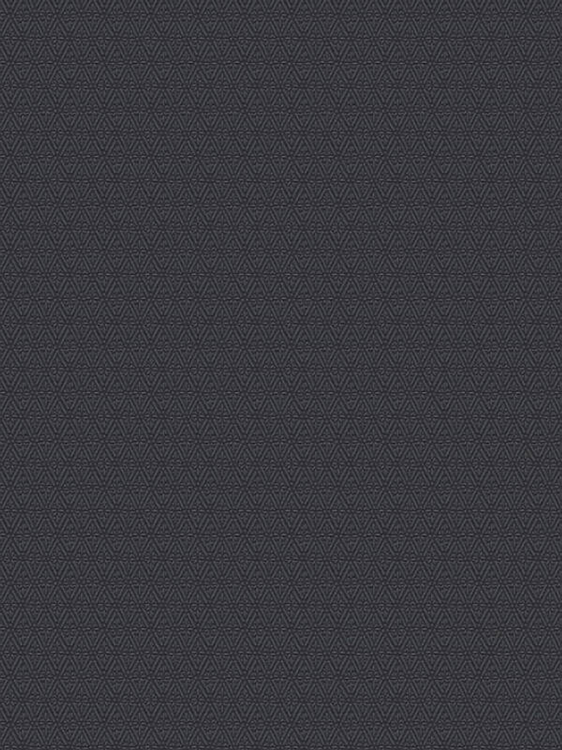 374711 (3 CM) - ASIAN FUSION 1