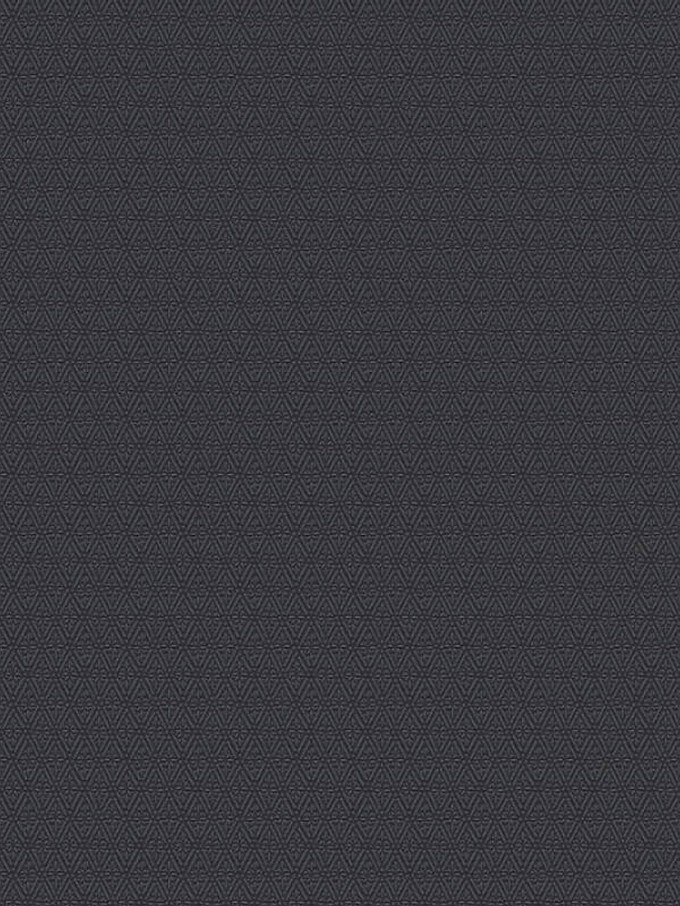 374711 (3 CM) - ASIAN FUSION 1