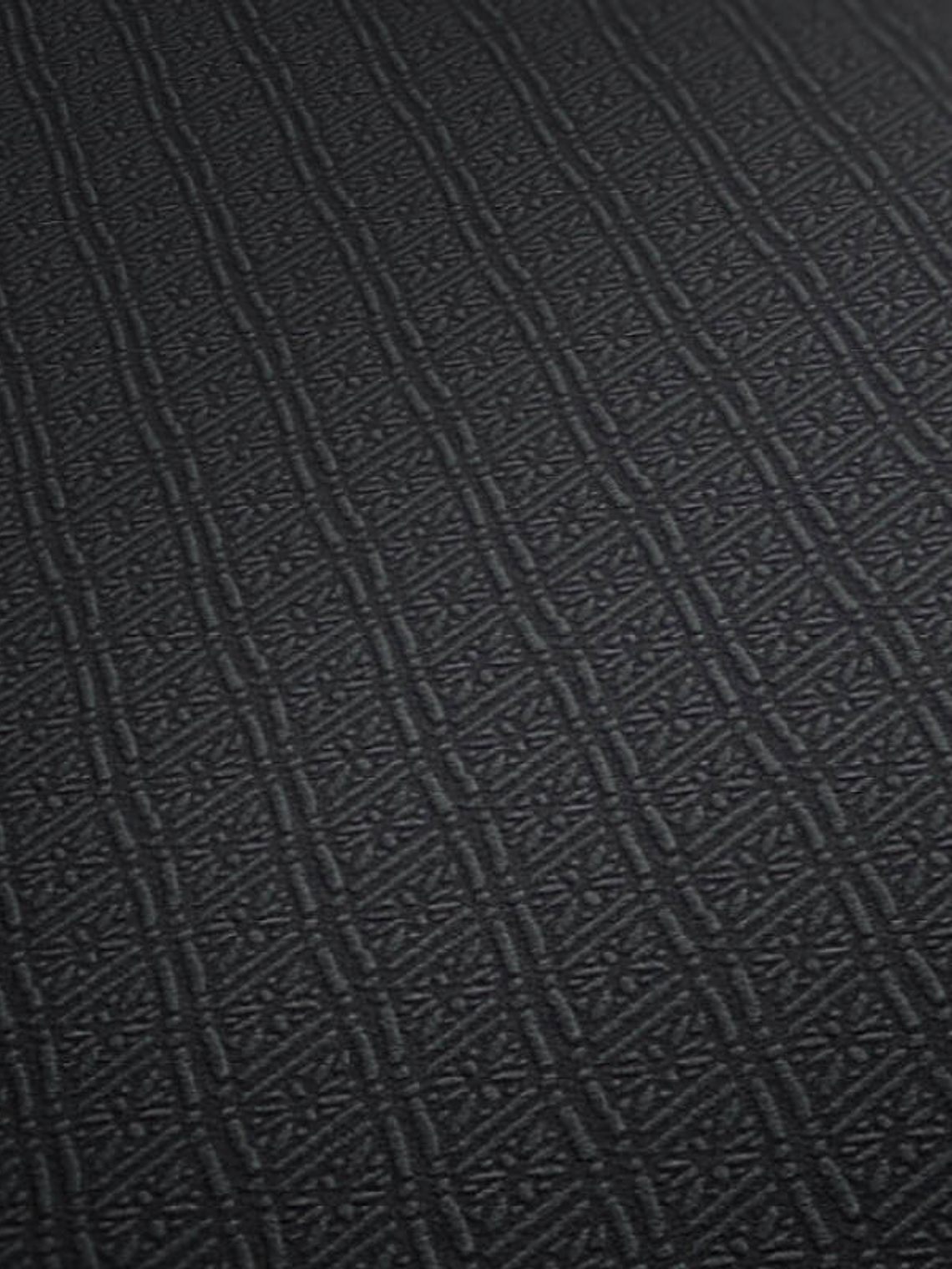 374711 (3 CM) - ASIAN FUSION 2